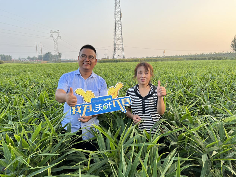 水溶肥哪家好？選擇秘訣告訴你