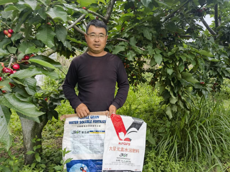 櫻桃月子肥用什么肥料好？