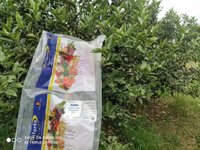 水溶肥效果好不好？榮大姐告訴你