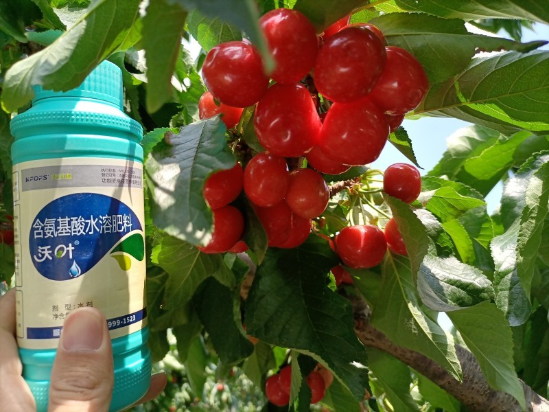 葉面肥什么時(shí)候用，你知道嗎？