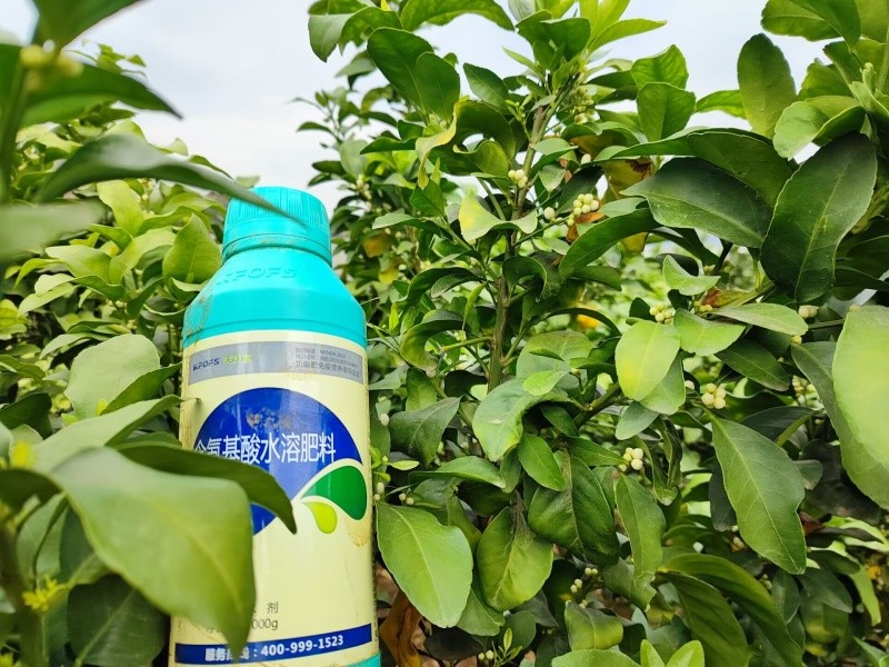 葉面肥你真的知道怎么用嗎？