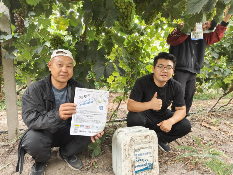 氨基酸肥料的作用你了解多少？