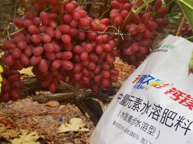 怎么讓土壤變得肥沃?