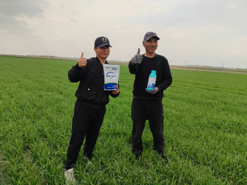 海藻有機氮肥與傳統(tǒng)肥料的區(qū)別