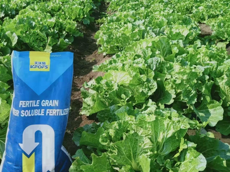 顆粒水溶肥哪家好？
