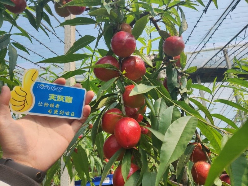 微生物菌劑的作用，你真的了解嗎？