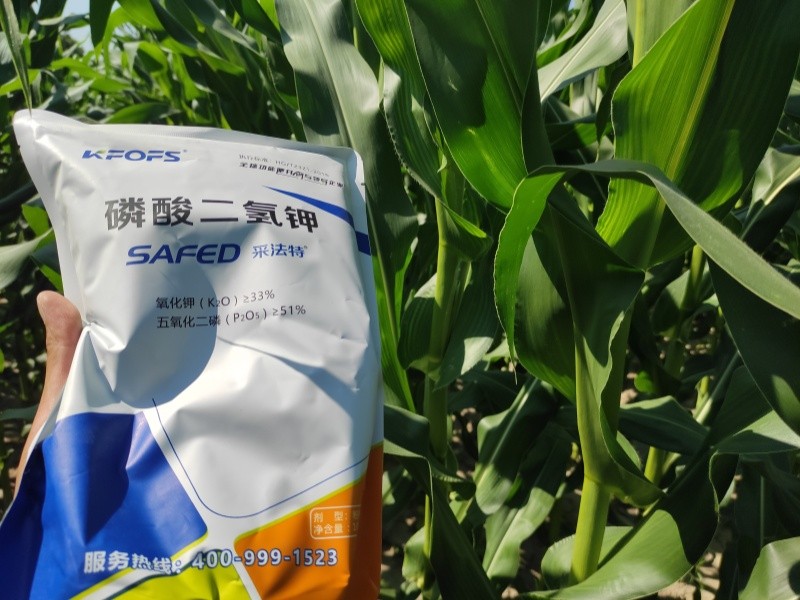 磷酸二氫鉀這樣選，錯不了