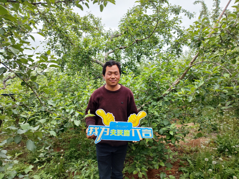 大量元素水溶肥怎么用效果好？