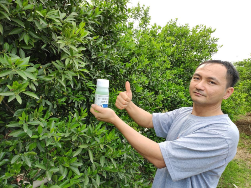 柑橘用什么肥料好？