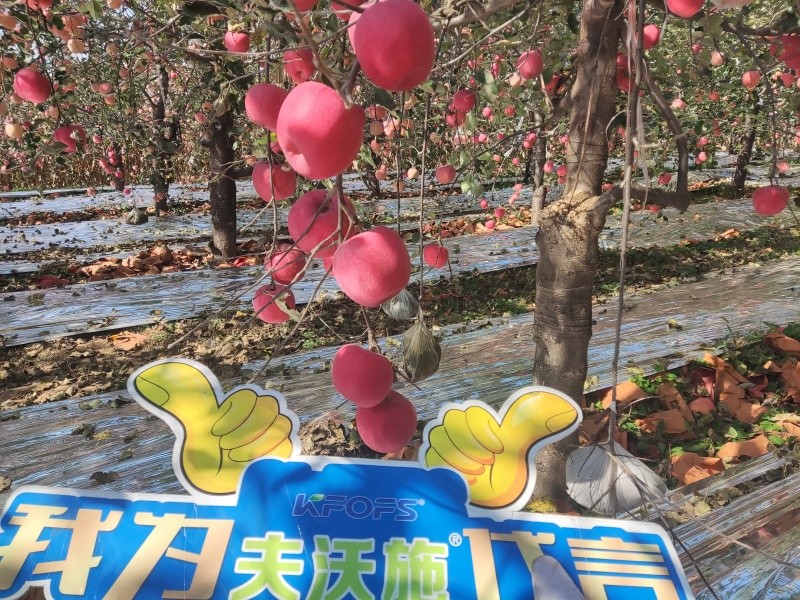 葉面肥你會用嗎？