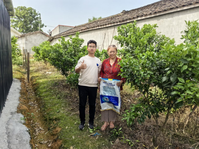 柑橘專用水溶肥實地運用分析講解