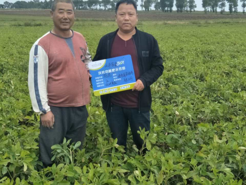 花生種植重茬、藥害問題解決方案