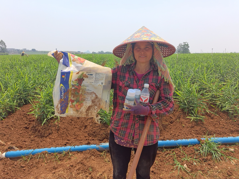 水溶肥哪家好？判斷標(biāo)準(zhǔn)“三看”