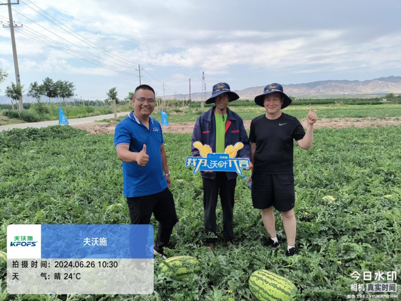 西瓜藥害怎么辦？水溶肥調(diào)理解決