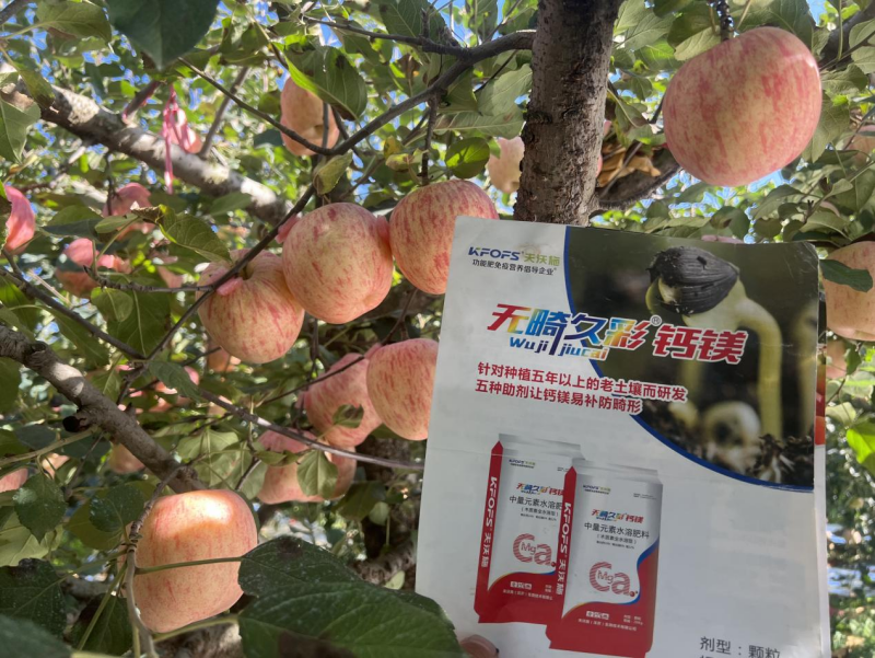 中微量元素水溶肥的作用和功效