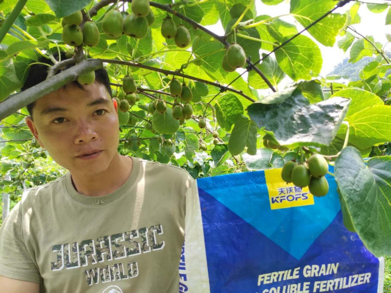 獼猴桃用什么肥料好？