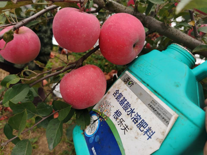 生根劑哪個(gè)牌子好？