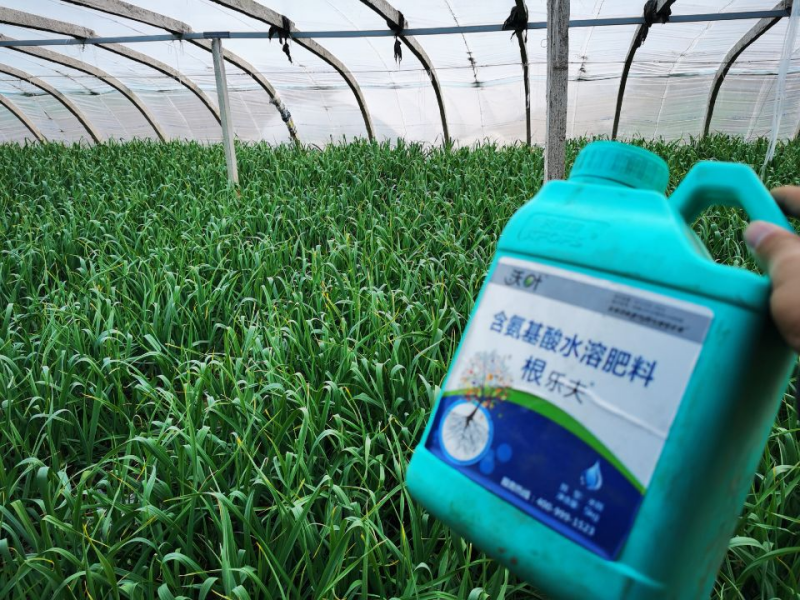 大蒜沖施肥用什么肥料好？