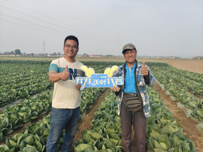 水溶肥幾天見效