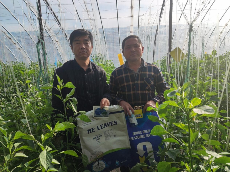 沖施肥的使用方法？經(jīng)驗(yàn)分享