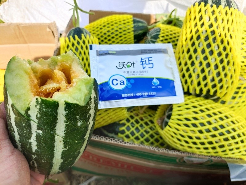 鈣肥這樣用，效果更好