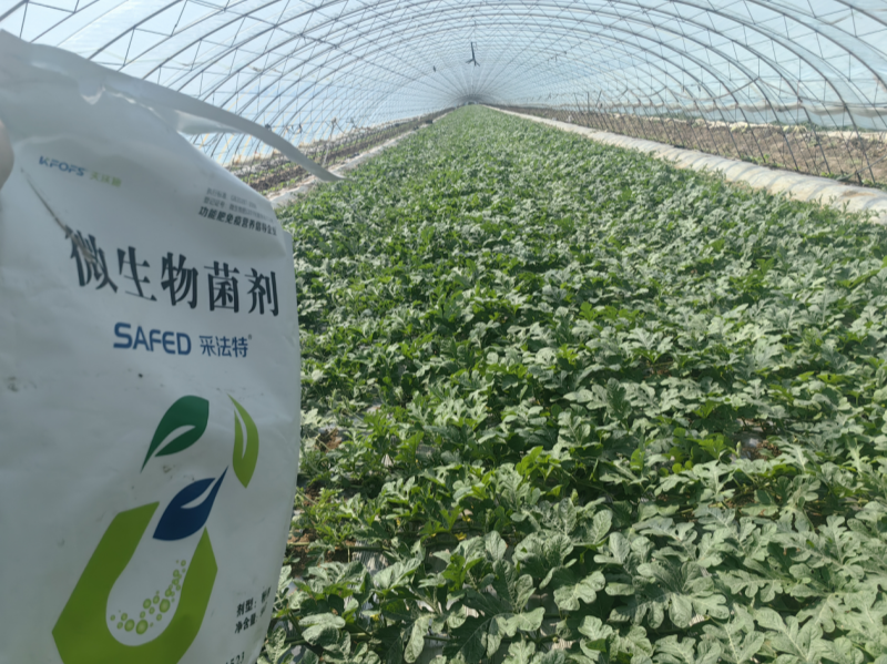 微生物菌劑有哪些？