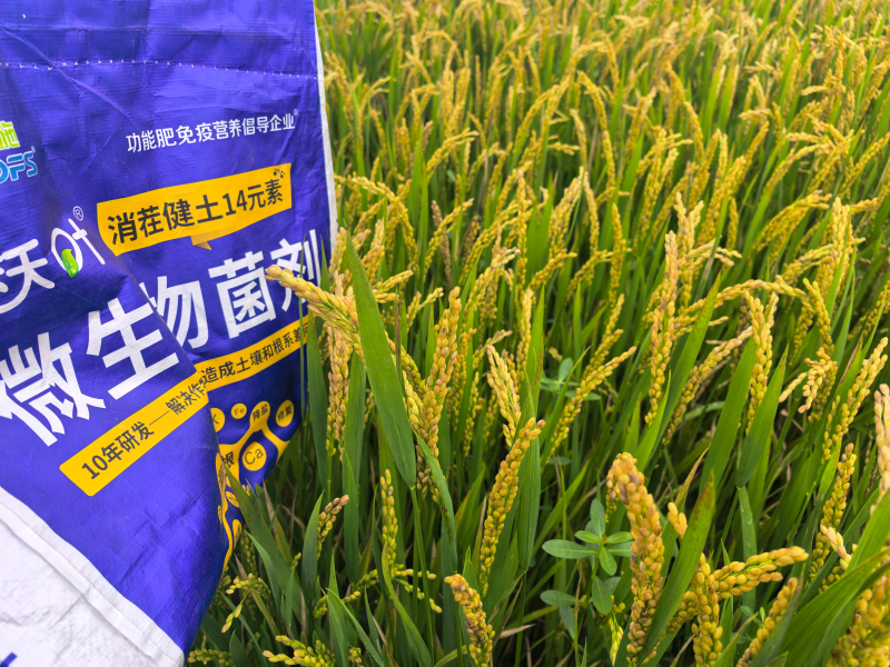 什么肥料能讓土壤變松？