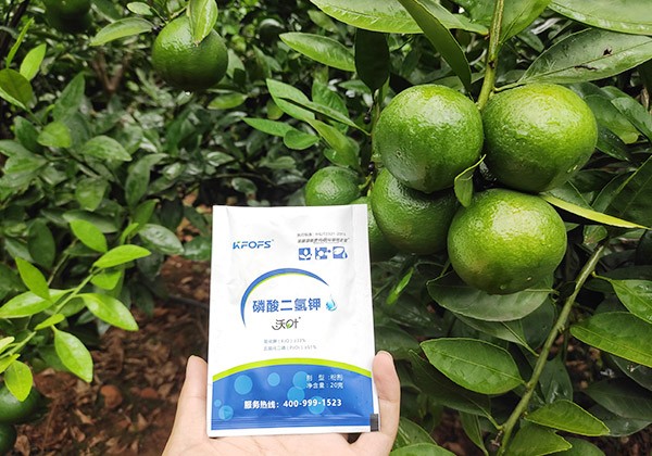 柑橘施肥全優(yōu)營(yíng)養(yǎng)方案-沃葉篇
